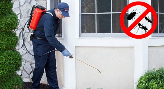 Çeşmealtı Bit İlaçlama böcek ilaçlama ve haşere kontrolü — ilaclama-tr.com